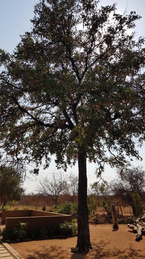 Hornbills Rest Country Home Phalaborwa Bagian luar foto