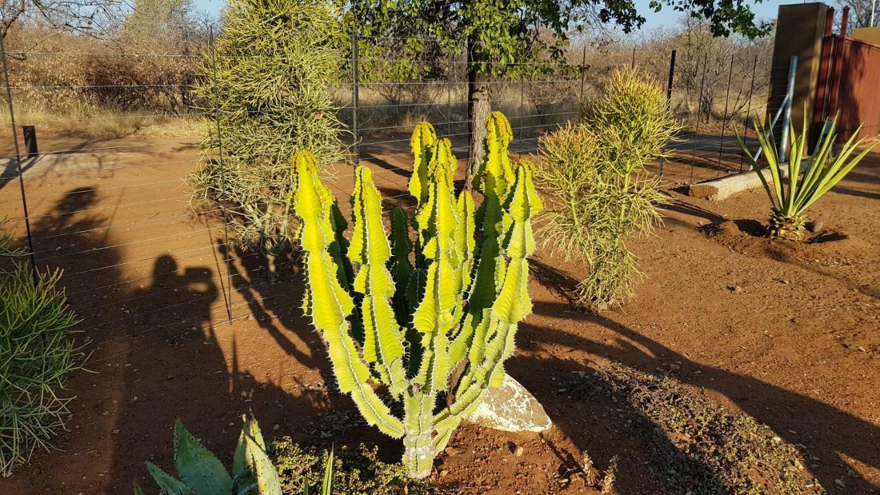 Hornbills Rest Country Home Phalaborwa Bagian luar foto