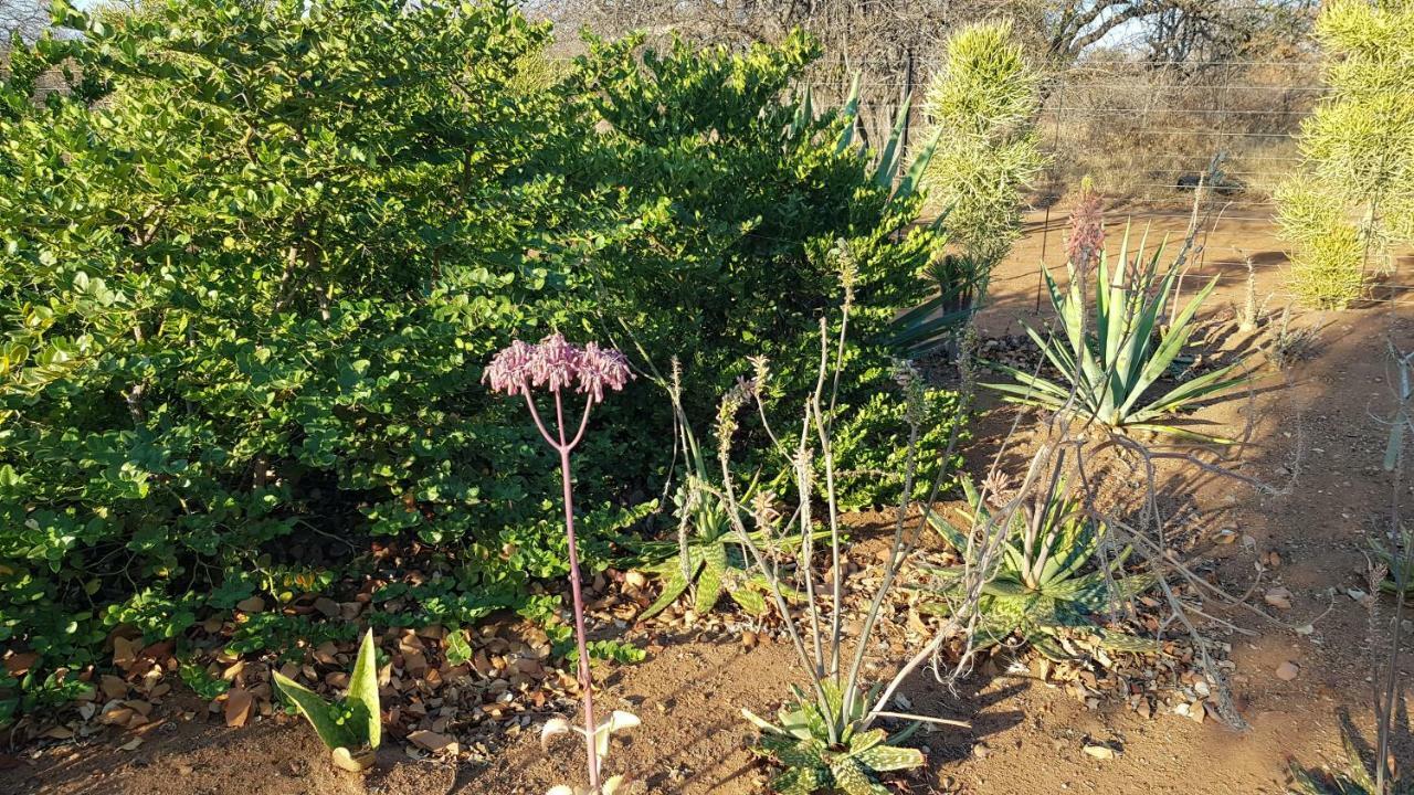 Hornbills Rest Country Home Phalaborwa Bagian luar foto